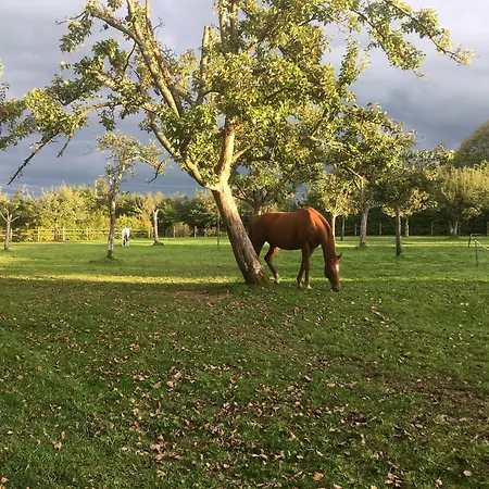 Gæstehus L'auberge Du Mont Le Breuil-en-Auge