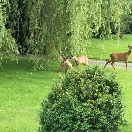 L'auberge Du Mont Gasthuis 3*