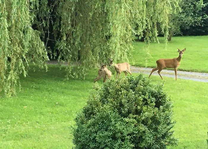 L'auberge Du Mont Gasthuis 3*