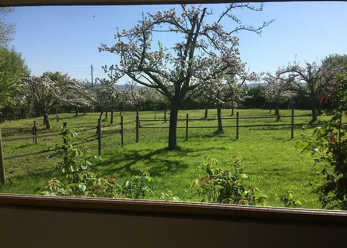 Gasthuis L'auberge Du Mont 3*