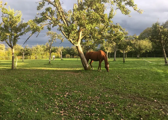 Guest house L'auberge Du Mont Le Breuil-en-Auge